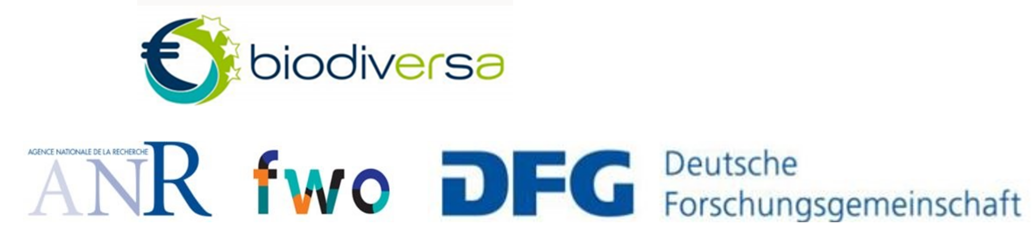 banner logos DiMoC
